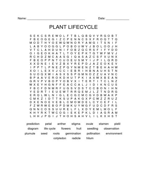 Image result for Plant Cycle Word Search