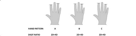 Image result for Digit Based Hand