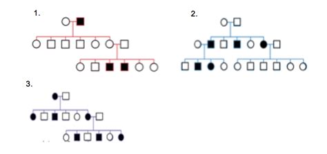 Image result for How to Determine Inheritance Pattern