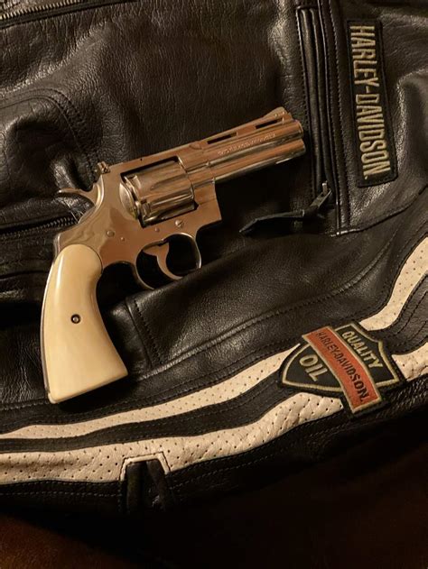 Image result for Why Is the Python Gun Called Python