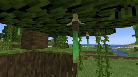 Toradh íomhá ar Swamp Trees in Minecraft
