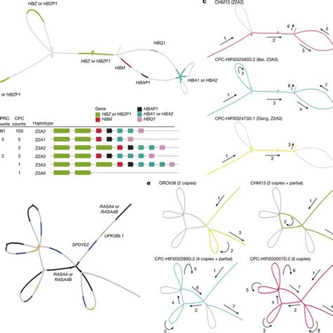 CPC Genetic Map に対する画像結果