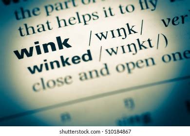 Image result for Meaning of Life