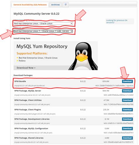 Image result for Mysql 설치