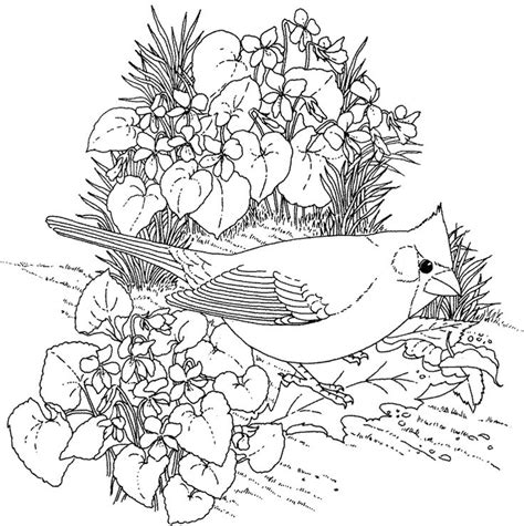 Image result for 1000 Coloring Pages to Print