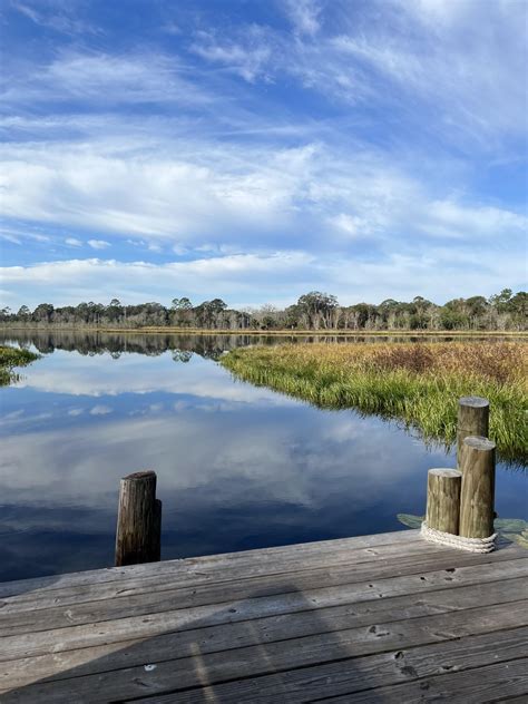 CX50 Premium Plus Ingot Blue に対する画像結果