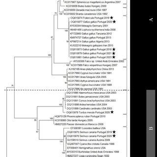 Image result for Maximum Likelihood Evolution