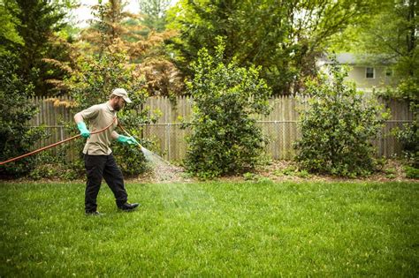 Why Fall Pre-Emergent Weed Control is Important for Your Lawn