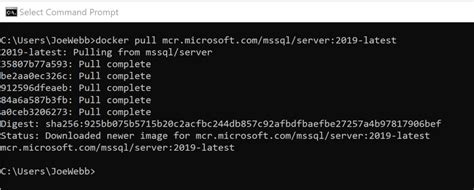 Image result for Running SQL Server in Docker Container