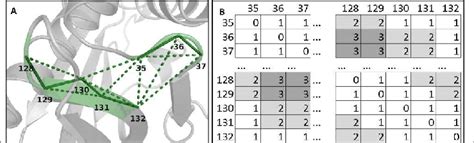 Image result for Distance Map for Protein Sequence Python