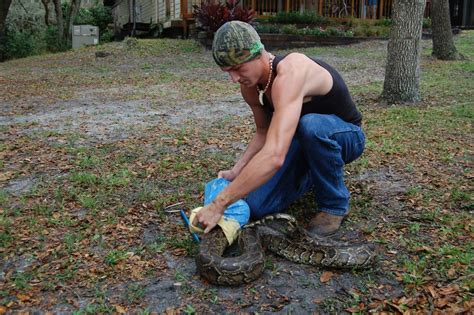 Image result for Python Patrol in Florida