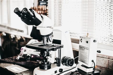 Microscope Time に対する画像結果