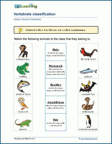 Image result for Classifying Animals Worksheet