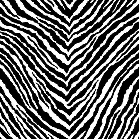 Toradh íomhá ar Zebra Design Art
