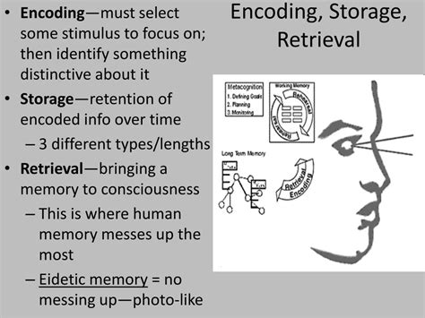 Image result for Memory Processing