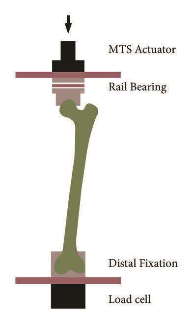 Image result for Building Testing MTS