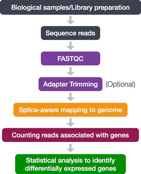Genome Sequencing Workflow కోసం చిత్ర ఫలితం