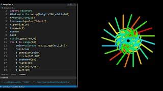 Image result for How to Draw Flower Animation Using Python