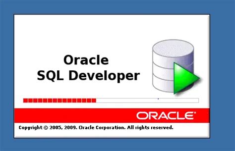 Running Queries in Oracle SQL Developer に対する画像結果
