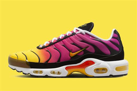 Image result for Tim Cook Rainbow