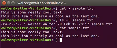 Image result for How to Create Text File in Linux Command Line