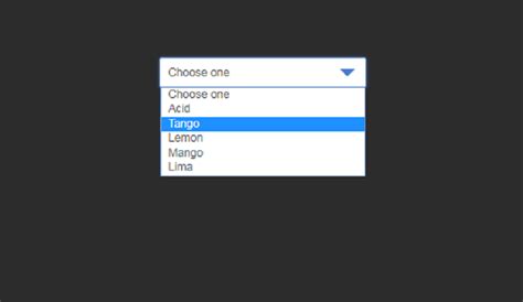 Image result for CSS Select Box HTML