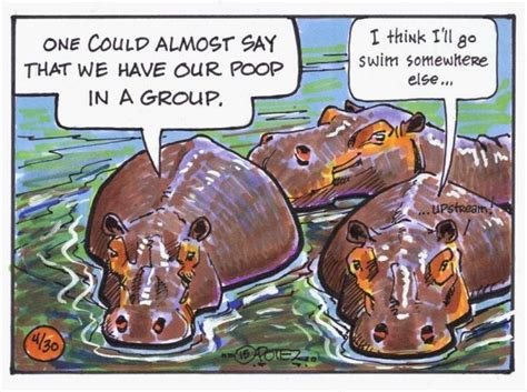 Fish Eat Hippopotamus Poop に対する画像結果