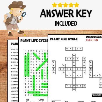 Image result for Plant Cycle Word Search