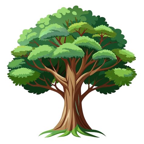 Afbeeldingsresultaten voor Realistic Tree Vector