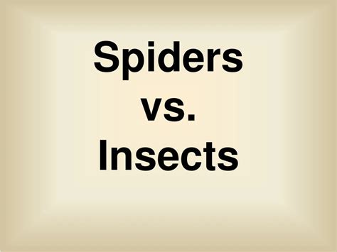 Image result for Insect Spider Comparison