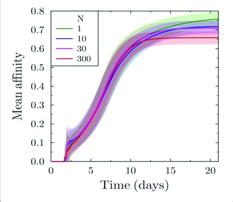 Toradh íomhá ar Plasma Cells Affinity Maturation