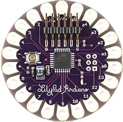 Evolution of Arduino に対する画像結果
