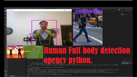 Image result for Python with Human