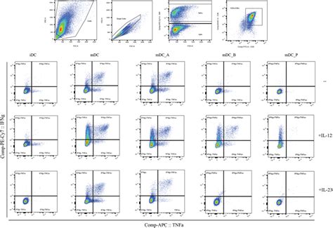 Image result for Flow Cytometry Gating