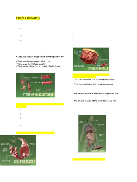 Image result for Body Types Pathfit