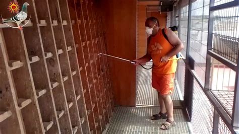 Afbeeldingsresultaten voor Cleaning the Pigeon Loft