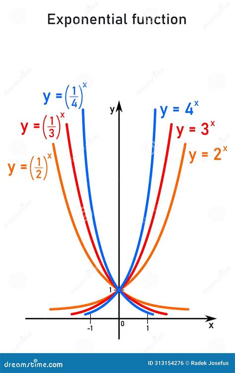 Image result for Exponential Function Graph Different Signs of X
