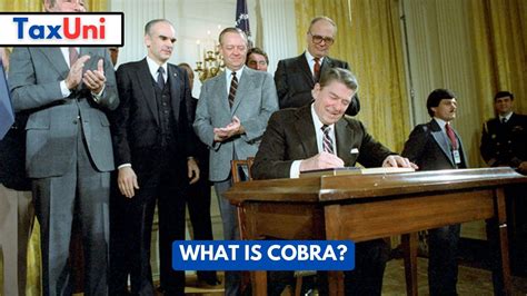 Cobra Explained に対する画像結果