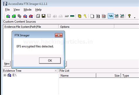 Toradh íomhá ar File Allocation Table FTK Imager