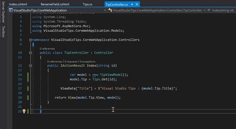 Image result for Visual Studio Format File