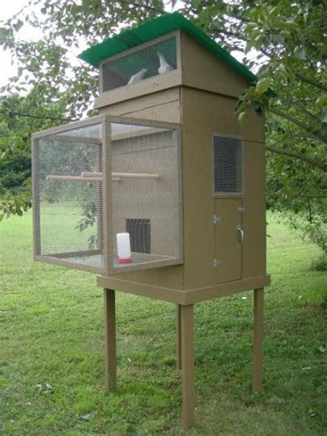 Image result for Build a Simple Pigeon Loft
