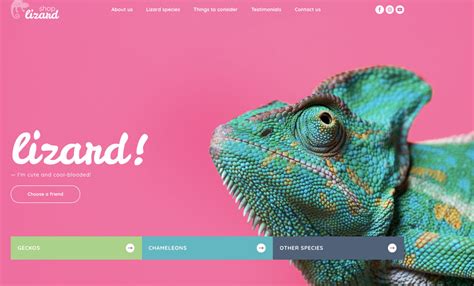 Toradh íomhá ar Example of Homepage Website