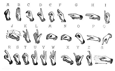 Image result for Sign Language Manual Alphabet