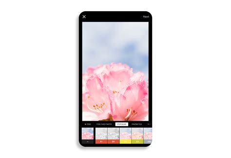 Afbeeldingsresultaten voor Red Logo Photo Filter App