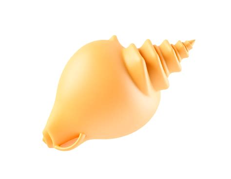 Conch Shell Shape に対する画像結果