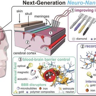 Afbeeldingsresultaten voor Neural Interface