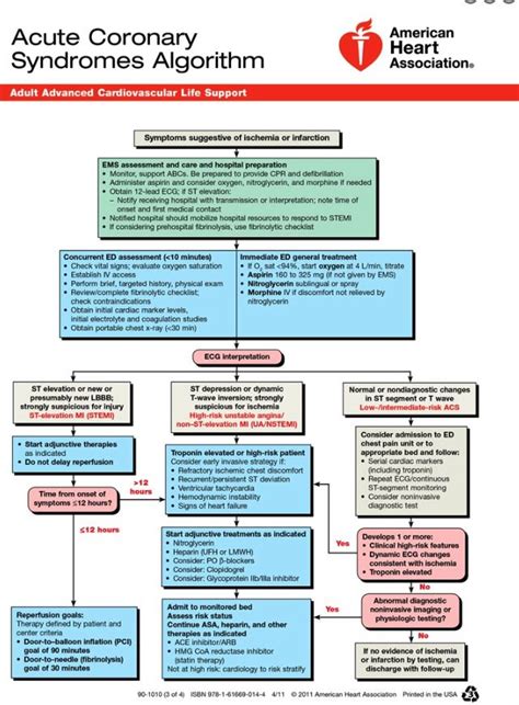 ACLS ACS Algorithm に対する画像結果