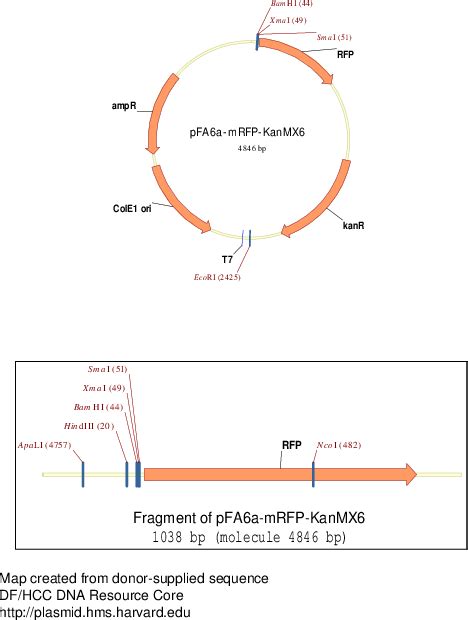 Image result for Vectors Mathematics IGCSE
