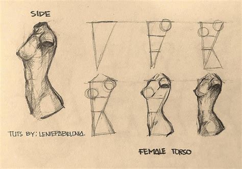 Image result for How to Draw Female Torso Arm Behind Back