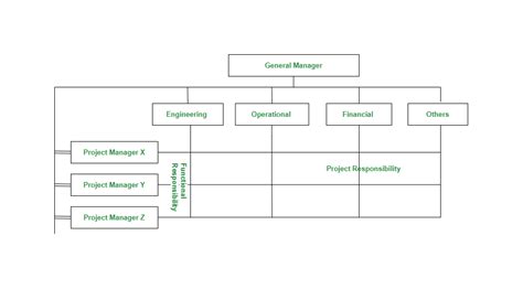 Image result for Matrix Organization Structure
